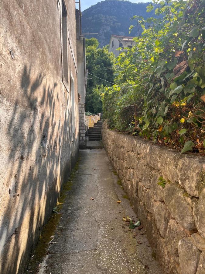 Apartment With Sea View Kotor Dış mekan fotoğraf